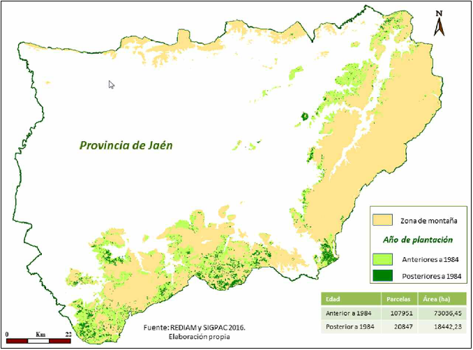 Los olivares de monta&ntilde;a en relaci&oacute;n al momento de su aparici&oacute;n