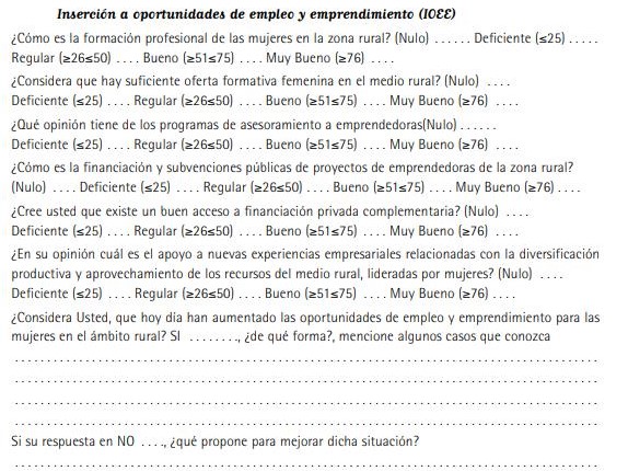 Inserci�n a oportunidades de empleo y emprendimiento (IOEE)