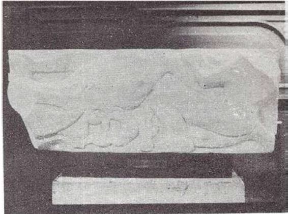 Carmen Raurich-Saba, Vino una paloma que comenzó un tal rumor de lamentos, talla directa en mármol.