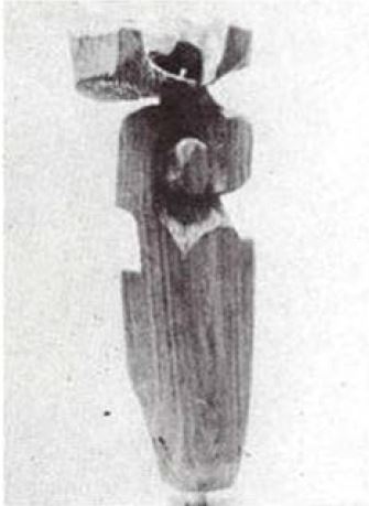 Carlos Díaz Navarro, Náyade, palo santo.