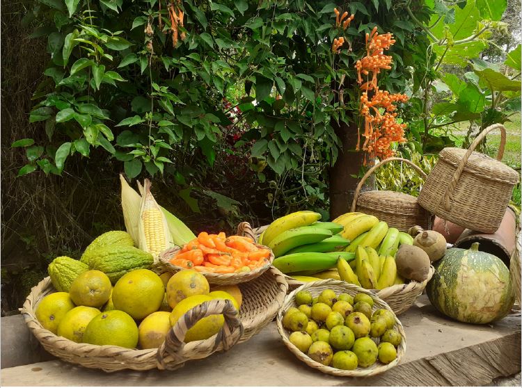Joana Arias Mendoza, Canastos y paisajes de Zetaquira, 2022, fotograf�a.