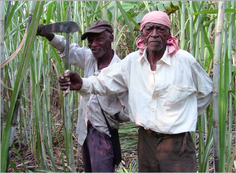 Maestros Anan�as Caniqu� y Ernesto Balanta (Mazamorrero, Buenos Aires, Cauca, 2013)