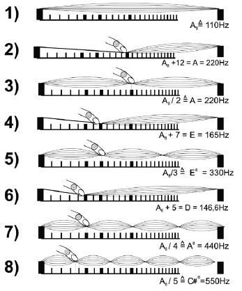Los nodos de una cuerda y su relación con los armónicos naturales.