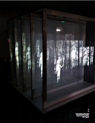 Slenka Leandra Botello Gil y Daianna Sierra Camacho, Im&aacute;genes de lo extraordinario, 2019, fotograf&iacute;a.