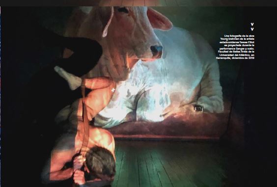 Una fotograf&iacute;a de la obra Young brahman de la artista estadounidense Teresa Elliot es proyectada durante la performance Sangre y ruido. Facultad de Bellas Artes de la Universidad del Atl&aacute;ntico, en Barranquilla, diciembre de 2019