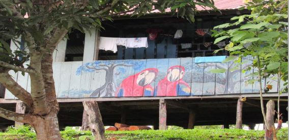 Cort&eacute;s-Garz&oacute;n, L (2019) Casa de clan guacamayo rojo ngo-&uuml;. Mocagua trapecio amaz&oacute;nico colombiano.