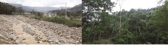 A la izquierda, se evidencia el impacto ambiental que ha causado sequ&iacute;a en sus r&iacute;os. A la derecha, imagen de la selva que se acompa&ntilde;a con una narraci&oacute;n que legitima la propiedad del territorio al pueblo Shuar, entregados en 1988 a trav&eacute;s de t&iacute;tulos de propiedad. (Creaci&oacute;n colectiva Etsa-Nantu/ C&aacute;mara Shuar 2017).