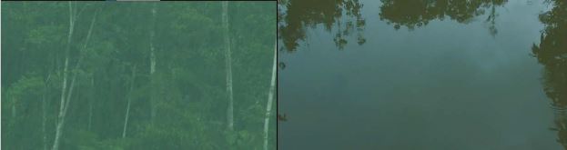 Fotograma de Tsunki. A la izquierda, lluvia persistente sobre la selva. A la derecha, tierra anegada despu&eacute;s de las incesantes lluvias provocadas por Tsunki (Etsa-Nantu/C&aacute;maraShuar 2014).