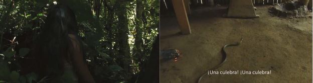 Fotograma de Tsunki. A la izquierda, Tsunki encarnada en cuerpo de mujer. A la derecha, Tsunki, metaformoseada en serpiente, es descubierta por las mujeres del shuar (Etsa-Nantu/C&aacute;maraShuar 2014).