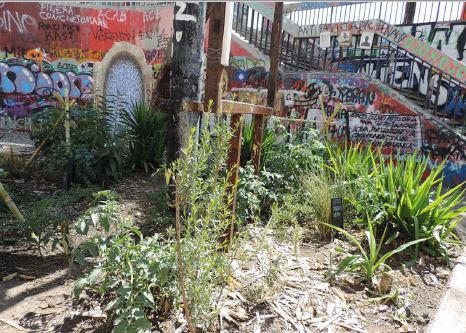 Francisca M&aacute;rquez y Margarita Reyes, Jard&iacute;n de la resistencia, 2020, fotograf&iacute;a.