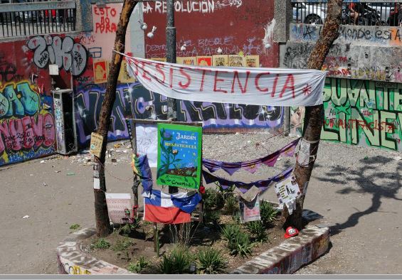 &Aacute;lvaro Hoppe, Jard&iacute;n de la resistencia, 2020, fotograf&iacute;a.