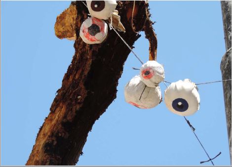 Francisca M&aacute;rquez y Margarita Reyes, Globos oculares en pa&ntilde;o colgados del ceibo, jard&iacute;n de la resistencia, 2020, fotograf&iacute;a.