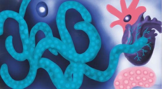 Elsa Mar&iacute;a Beltr&aacute;n-Luengas y Alejandro Villaneda, El asombro, 2021, ilustraci&oacute;n digital.