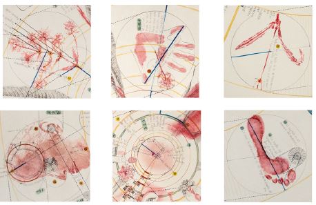 Círculos que comparten la misma dimensión: hallazgo del círculo modulor.