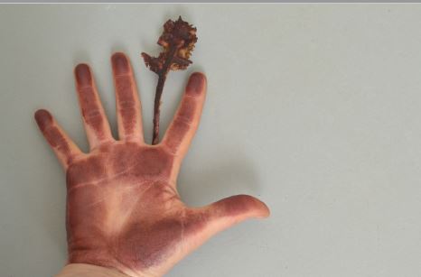 Impronta: mano y capítulo con tinta para sellos.