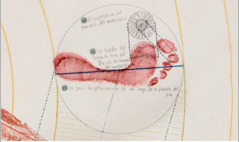 Ejemplo de un axioma de proporción