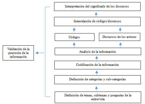 Figura 2. Proceso de organización y tratamiento de la información