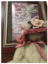 Foto 9. Osito con un fondo de un retrato