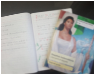 Foto 13. Me sent�a como analfabeta