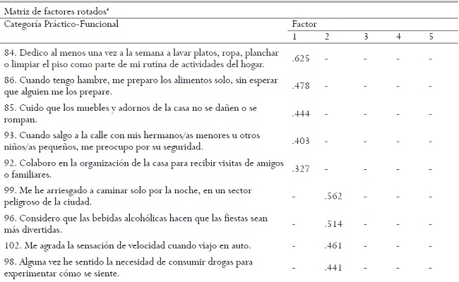 Matriz factorial obtenida con el an&aacute;lisis exploratorio de la categor&iacute;a pr&aacute;ctico funcional.