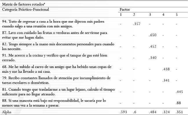 Matriz factorial obtenida con el an&aacute;lisis exploratorio de la categor&iacute;a pr&aacute;ctico funcional.