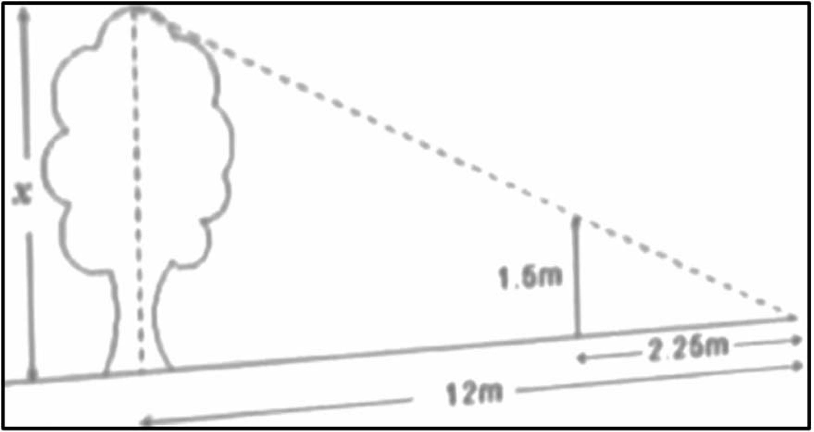 Problema matem&aacute;tico planteado a los alumnos de la clase video-grabada.