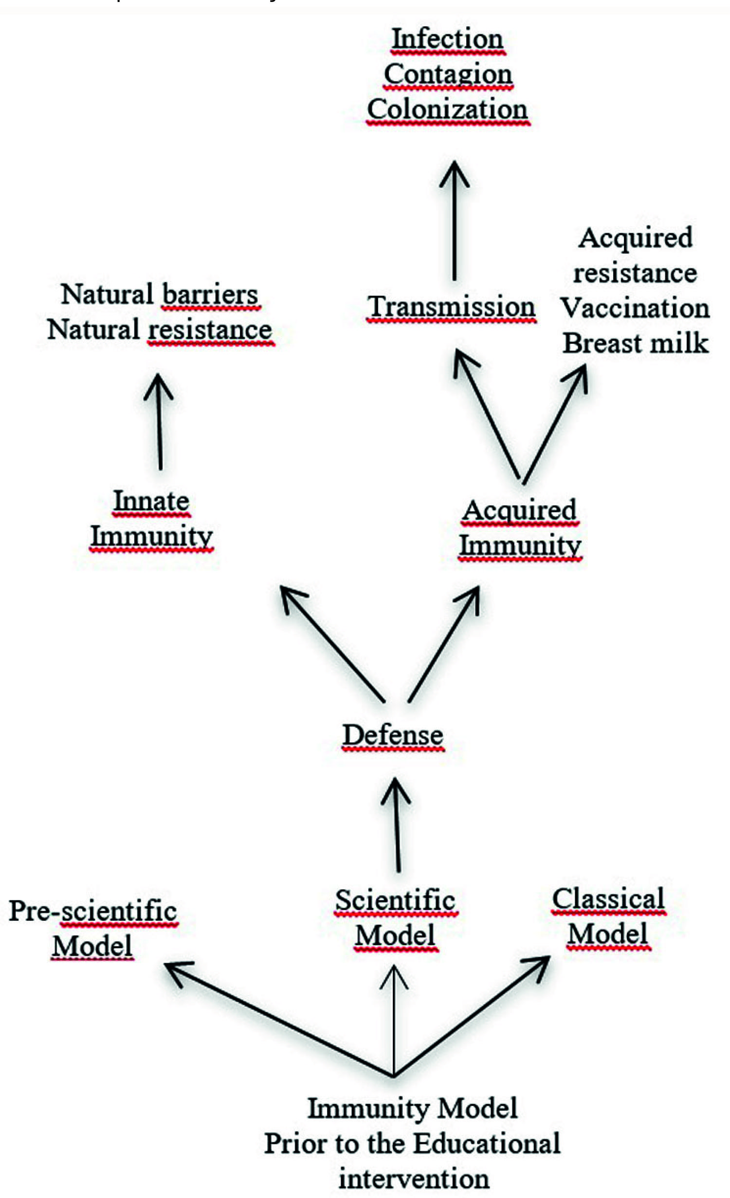 Representaci&oacute;n del modelo de inmunidad de los estudiantes antes de realizar la intervenci&oacute;n did&aacute;ctica, inferido de las respuestas dadas por ellos. Si bien hay una marcada tendencia a referirse al modelo conceptual de inmunidad, como qued&oacute; claro en el Cuadro 1, los estudiantes tambi&eacute;n hacen referencia a los modelos precient&iacute;fico y cl&aacute;sico