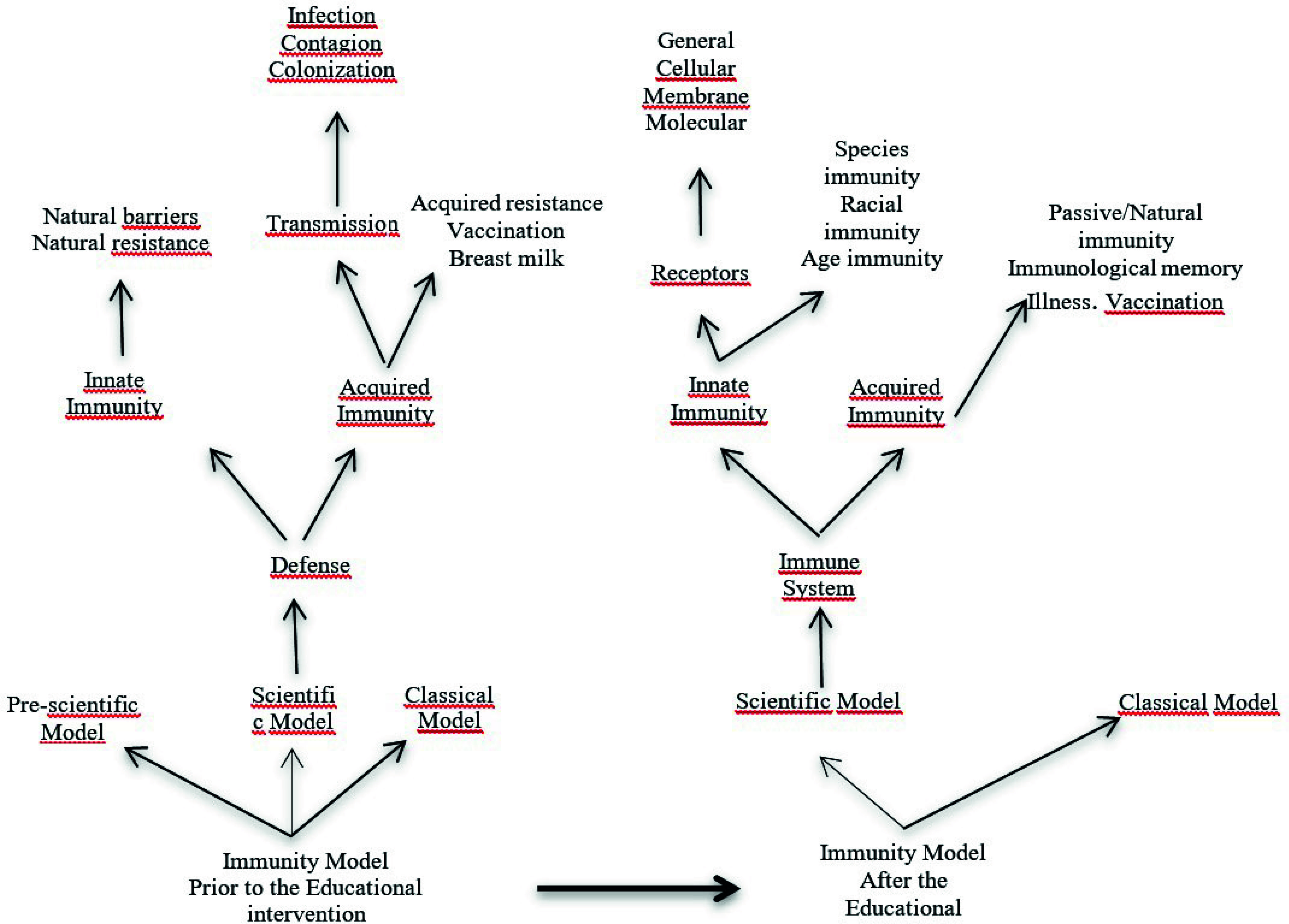 Comparaci&oacute;n de los modelos de inmunolog&iacute;a antes y despu&eacute;s de la intervenci&oacute;n did&aacute;ctica (izquierda y derecha respectivamente)