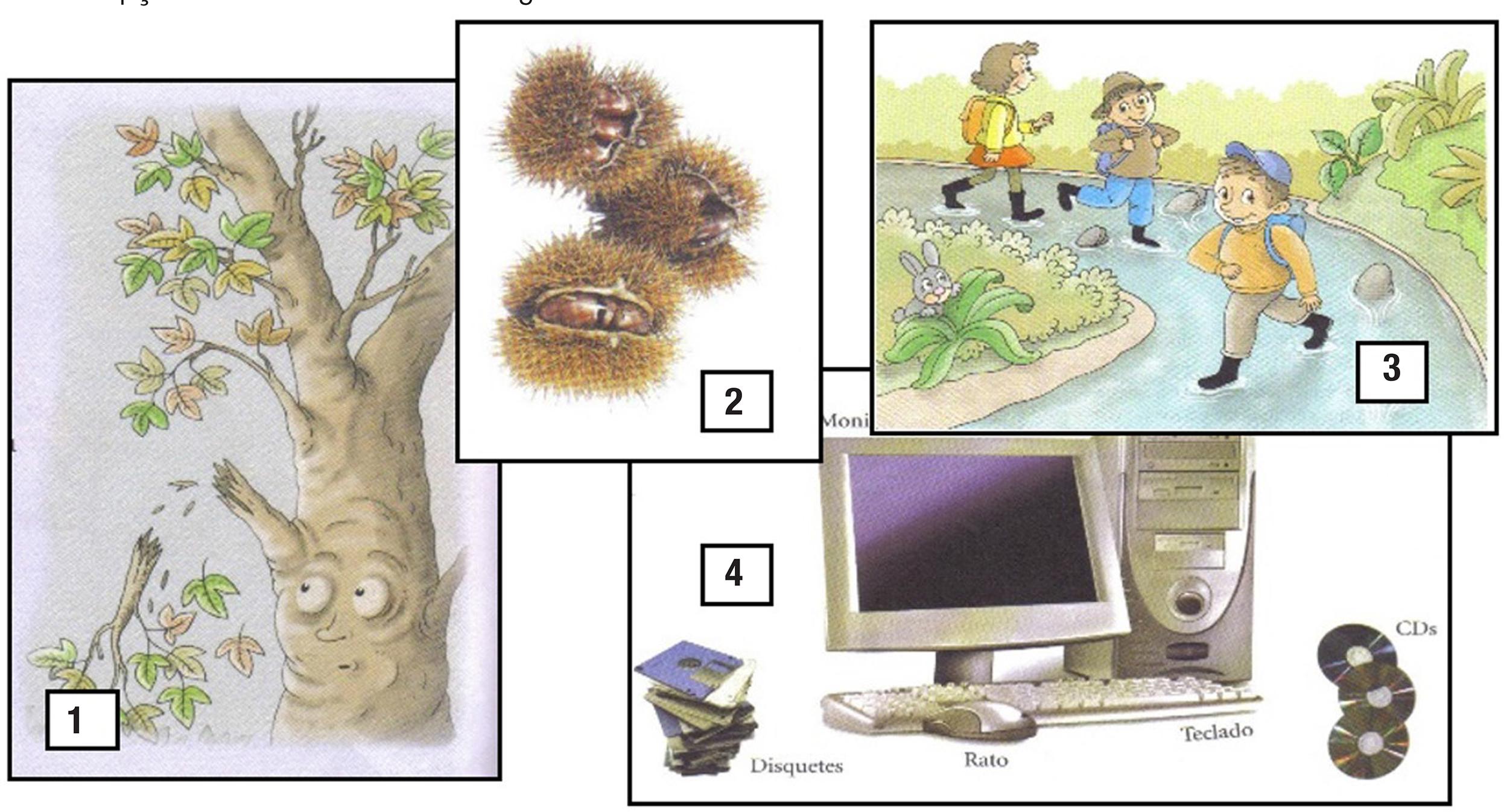 – Percepção multidimensional da imagem