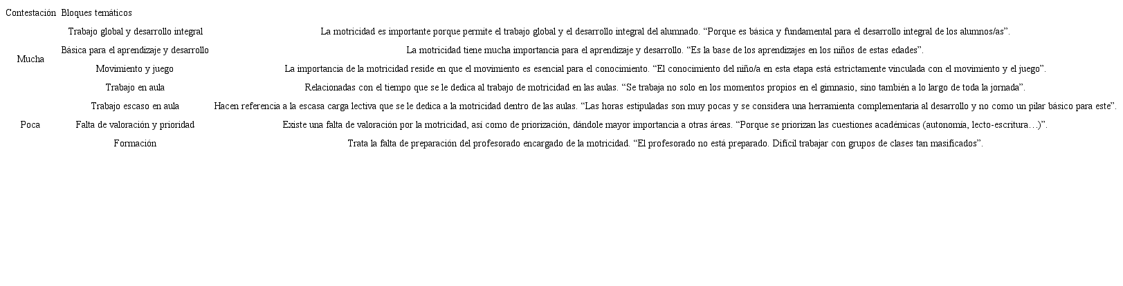 Importancia dada a la motricidad