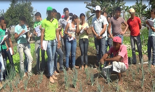 &ndash; Visita de estudo &ndash; PE olericultura*