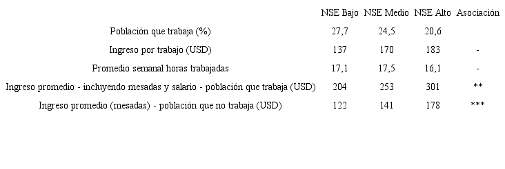 Trabajo e Ingreso por NSE