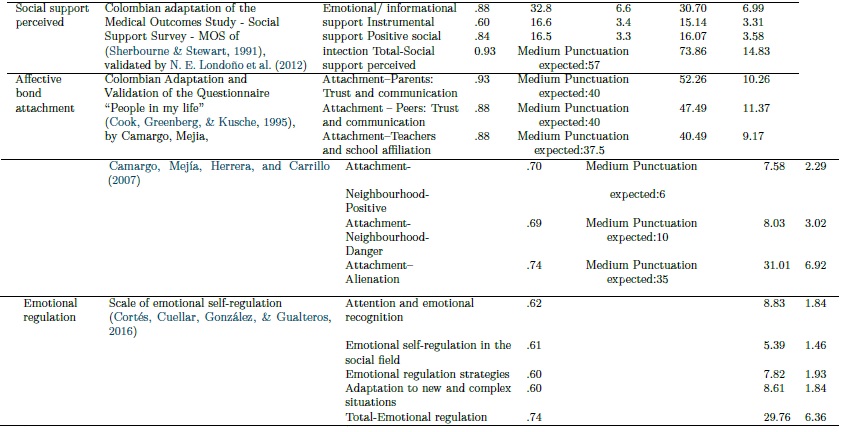 Evaluation instruments. Measurements of internal consistency, average expected, mean and standard deviation obtained.