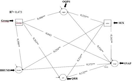 Model 1. SEM total SNAP without CYAS. Adjustment Indexes: 
							χ2 = 19663
							, 632
							/6095; RMSEA = 0.054; CFI = 0.942; TLI = 0.933; SRMR = 0.082. ** 
							&le;, 000. Factor loadings 
							&ge; 0.30.
						