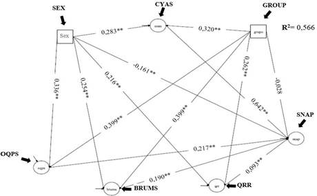Model 2.SEM Total SNAP with CYAS. Adjustment Indices: 
							χ2 = 27984
							.081
							/9440; RMSEA = 0.053; CFI = 0.937; TLI = 0.930; SRMR = 0.082. ** 
							&le;, 000. Factor loadings
							&ge;0.30.
						