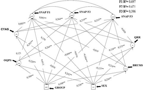 Model 4.SEM SNAP factors with CYAS. Adjustment Indexes: 
							χ2 = 27396
							.243
							/9425; RMSEA = 0.052; CFI = 0.924; TLI = 0.912; SRMR = 0.083. **
							&le;, 000. Factor loadings 
							&ge;0.30. 
						
