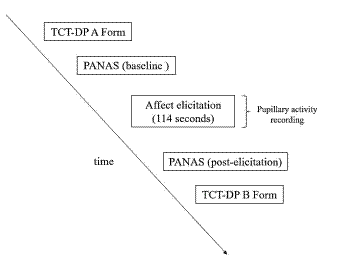 Scheme of the Experimental Procedure