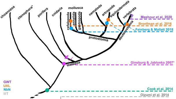 Simpliﬁed Genealogy of Phenomenal Consciousness according to Diﬀerent Frameworks