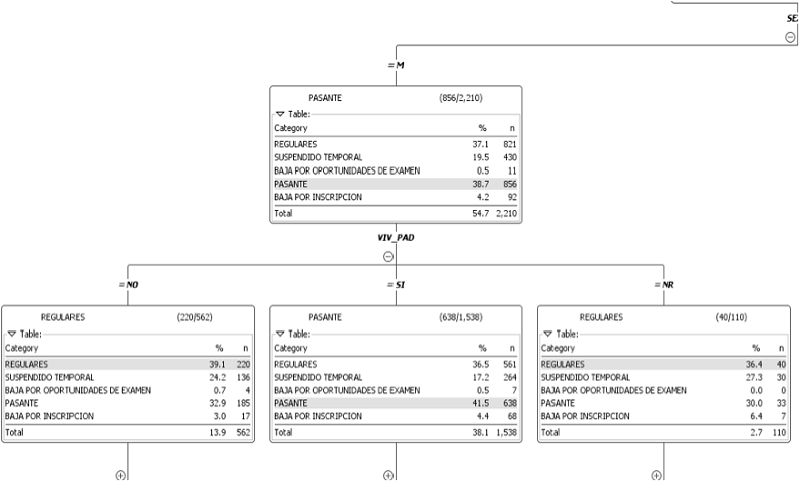 An&aacute;lisis de resultados &ldquo;Vive con su padre&rdquo;