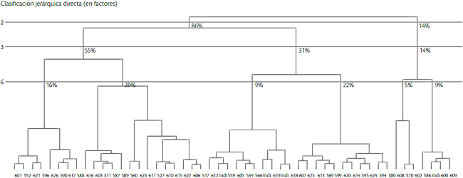 Dendrograma de las clases de las titulaciones, C&oacute;rdoba, 2017