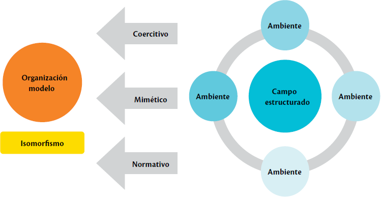 Dimensiones del cambio isomorfo