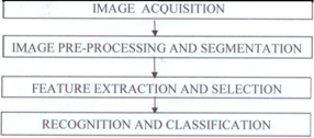 Methodology of the research.