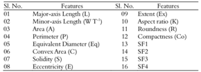 Extracted morphological features of individual cashew kernel.