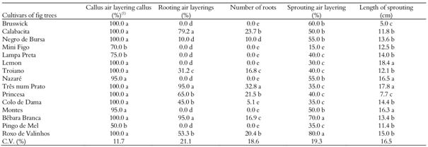 Percentage of air layering callus, rooted and the average number of roots per air layering, percentage of sprouting and average length of sprouts from different cultivars of fig tree.
