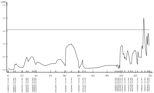 QTL associated to the characteristic COM at the depth of 5 to 25 cm in a F2:3 population of rice on the chromosome 3 by the Composed Interval Mapping analysis. The critical value of LOD of 2.5 is represented by the horizontal line.
