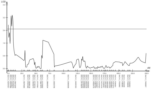 QTL associated to the characteristic COM at the depth of 25 to 45 cm in a F2:3 population of rice on the chromosome 1 by the Composed Interval Mapping analysis. The critical value of LOD of 2.5 is represented by the horizontal line.