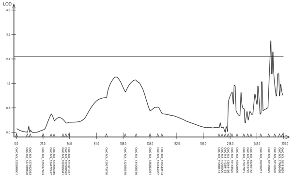 QTL associated to the characteristic root contact area (ACR) at a depth of 5 to 25 cm in a F2:3 population of rice on the chromosome 3 by the Composed Interval Mapping analysis. The critical value of LOD of 2.5 is represented by the horizontal line.