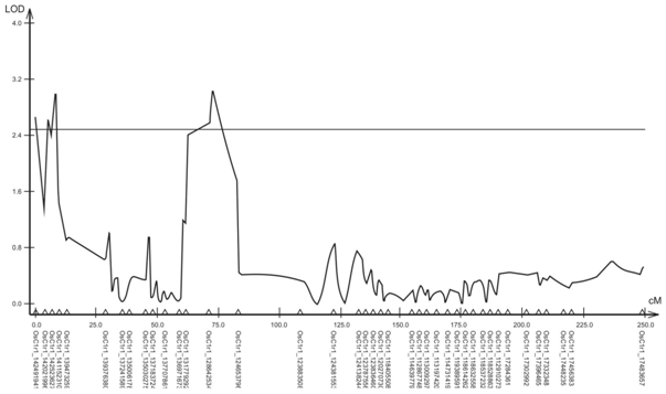 QTL associated to the Volume of the roots at the depth of 25 to 45 cm in a F2:3 population of rice on the chromosome 1 by the Composed Interval Mapping analysis. The critical value of LOD of 2.5 is represented by the horizontal line.