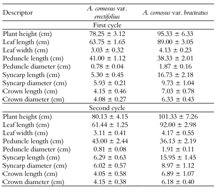 Quantitative morphological characteristics of parentals (Ananas comosus var. erectifolius and A. comosus var. bracteatus) of the PL01 and PL04 hybrids.