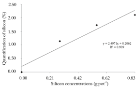 Quantification of silicon via X-ray microanalysis in passion fruit leaves (Passiflora edulis Sims f. flavicarpa Deg.) subjected to different concentrations of silicon.